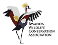 Rwanda-Wildlife-Cons-Association