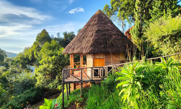 Agandi Uganda